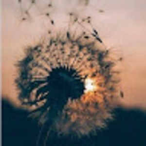 Meet your Posher, Sophia